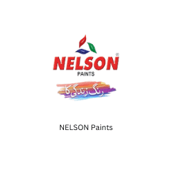 NELSON Paints BeeHive Consultants Corporate Training SDGs Faisal Shaikh